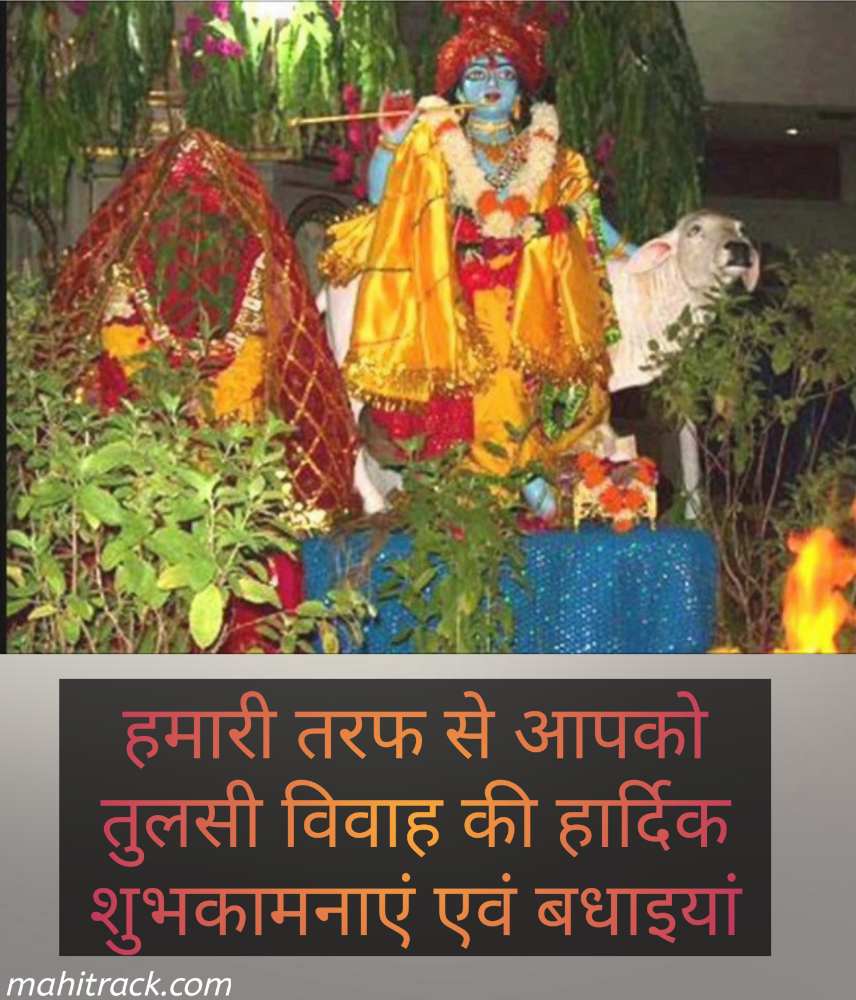 happy tulsi vivah images 