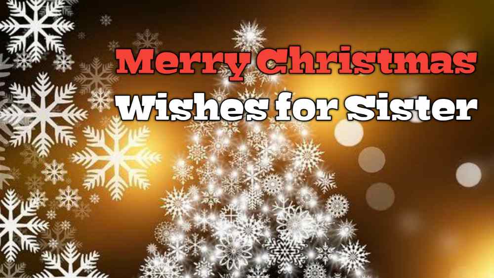 Merry Christmas wishes for sister