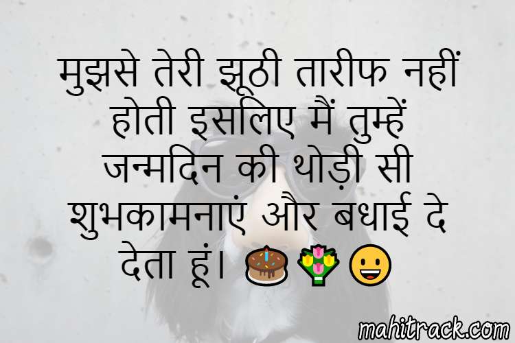 Funny Birthday Wishes in Hindi - Insulting Birthday Shayari Images