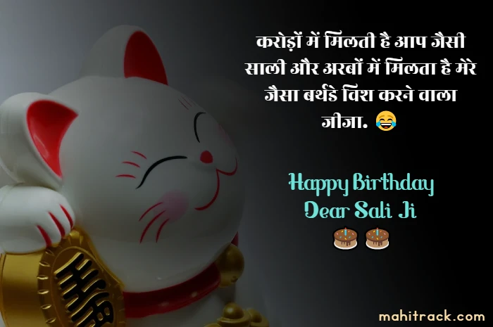 funny birthday wishes for sali in hindi