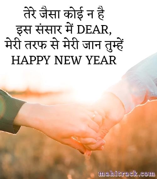 gf new year 2024 wishes in hindi