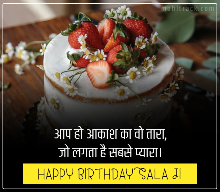 birthday wishes for sala in hindi