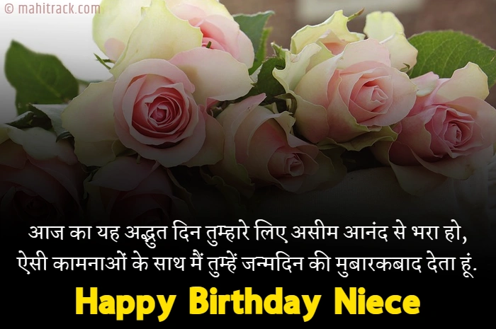 birthday wish for niece in hindi